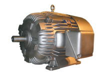 Mixer Duty Motor