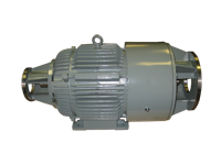 Foundry Duty Motor