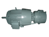 Crane Hoist Motor